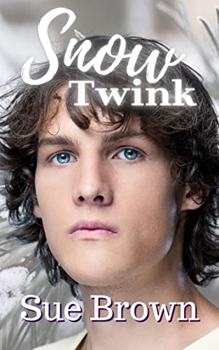 Snow Twink: A Contemporary MM Snow White Retelling (Bearytales in the Wood Book 1)