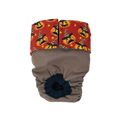 Barkertime Orange Halloween Pumpkin Witch on Brown Premium Waterproof Cat Diaper, XS, Without Tail Hole Stud Pants for Piddling, Spraying, Incontinent Cats - Made in USA