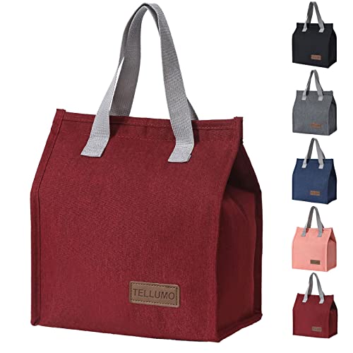 TELLUMO Lunch bag, Insulated Lunch Bag for Women Men Kids Large Lunch Box Container Reusable Leakproof Tote for Office, Work, School, Beach or Travel (Minimalist Red 1)