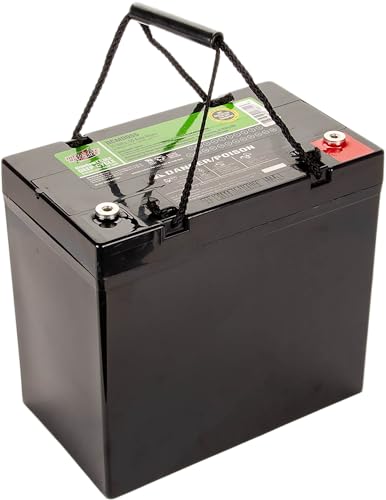 Interstate Batteries 12V 55Ah Deep Cycle Mobility Battery Group 22NF VRLA SLA AGM (Insert Terminal) Rechargeable Replacement for Wheelchairs, Scooters, ATVs, Solar Power (DCM0055)