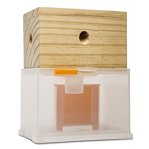 Bee Warehouse - Carpenter Bee Trap - Wood Boring Bee Trap - Unique Catch & Release Outdoor Carpenter Bee Trap - Includes Hanging Hardware & 5 Bee Dams