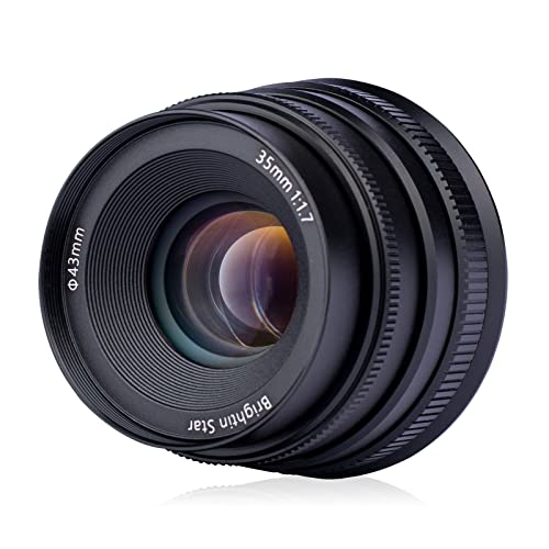 Brightin Star 35mm F1.7 Wide-Angle Manual Focus Prime Lens for Panasonic Olympus Micro 4/3 Mirrorless Cameras, MFT APS-C Large Aperture, Fit for LUMIX G7, G7KS, GX85, GX9, G95, GH5, GH6, G100, G9