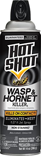 Hot Shot Wasp & Hornet Killer Spray, For Insects Eliminates The Nest, Sprays Up To 27 Feet, 14 fl Ounce