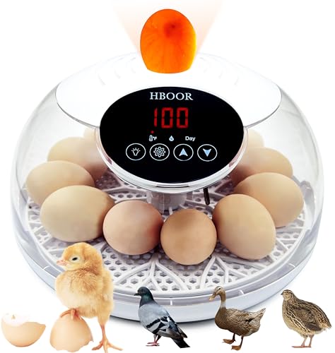 HBOOR 12 Egg Incubator，Incubators for Hatching Eggs，Egg Incubator with Automatic Egg Turning and Humidity Control，Chicken Incubator，for Hatching Quail Duck，Egg Candler and Display of Incubation Days