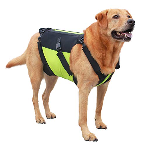 {Updated} Top 10 Best dachshund back brace reviews hot deals {Guide