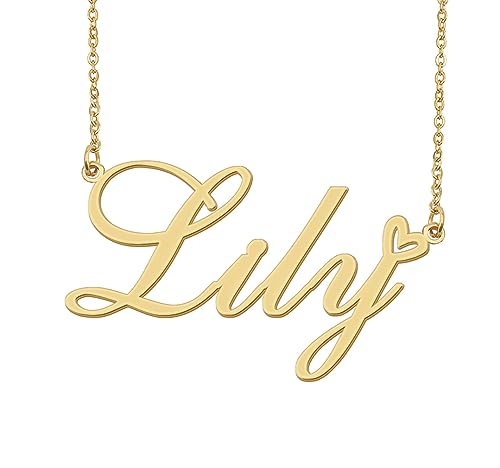 Aoloshow Lily Name Necklace Heart Charm Pendant Stainless Steel Jewelry for Womens Graduation