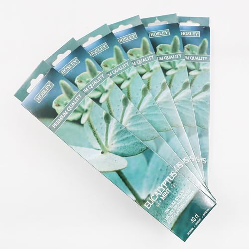Hosley Eucalyptus Mint Fragrance Incense Stick Infused with Essential Oils for Long-Lasting Aromatherapy Bliss Holistic Relaxation in Every Box Pack of 240 Incense Stick Pack of 6