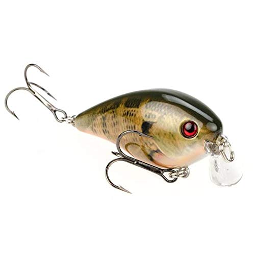 Strike King KVD Shallow Square Bill 1.5 / Natural Bream (HCKVDS1.5SH-663), 0.04