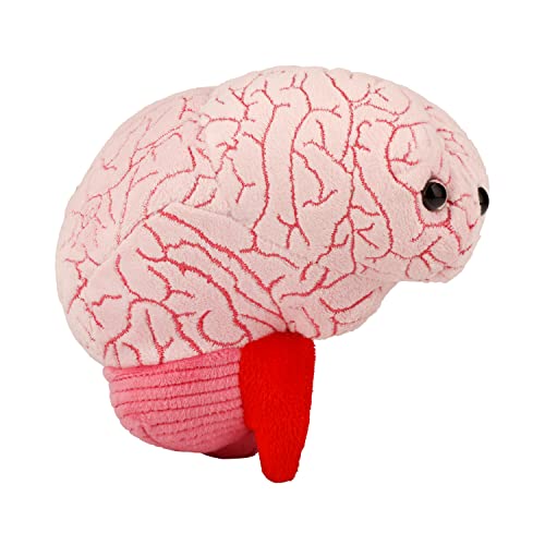 GIANTmicrobes Brain Organ Plush - Anatomical Brain Organ, Get Well Gift for Brain Injury and Brain Surgery Recovery Gift, Unique Biology Gift for Doctors, Nurses, Teachers,and Scientists