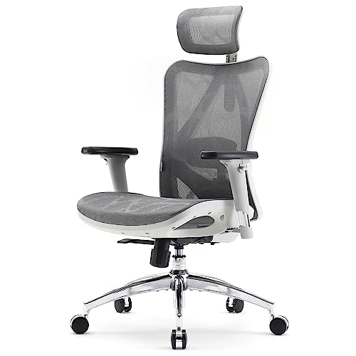 SIHOO M57 Ergonomic Office Chair with 3 Way Armrests Lumbar Support and Adjustable Headrest High Back Tilt Function Light Grey