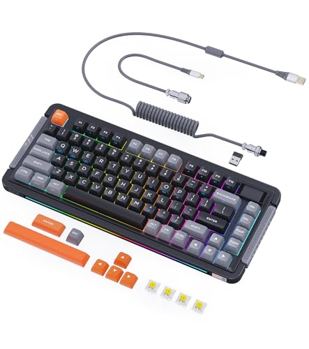 ROYALAXE L75 Wireless Mechanical Keyboard, Hot-swappable Wired/Bluetooth 5.0/2.4G Wireless Keyboard with RGB Backlit for Windows & Mac, PBT Keycaps, Gateron Yellow Switch Pro, Charcoal Gray