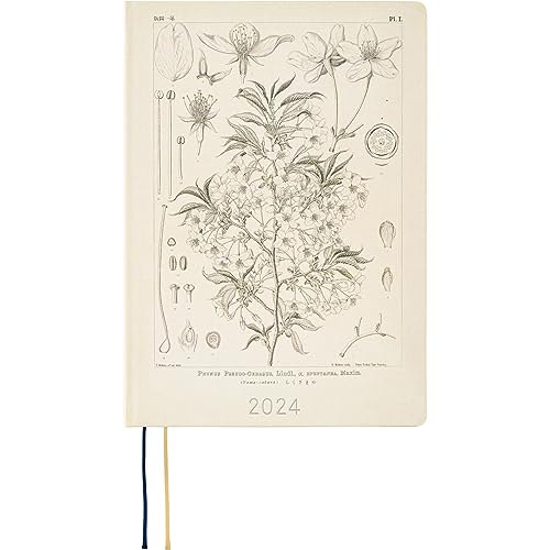 HOBONICHI Techo HON A5 [English/A5 Size/January 2024 Start] Tomitaro Makino: Yamazakura