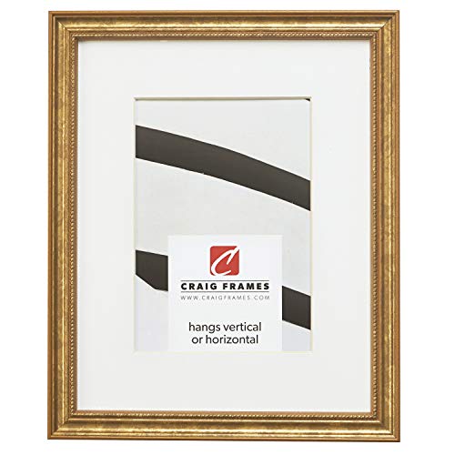 Craig Frames 314GD 16 x 20 Inch Ornate Gold Picture Frame Matted to Display a 11 x 14 Inch Photo