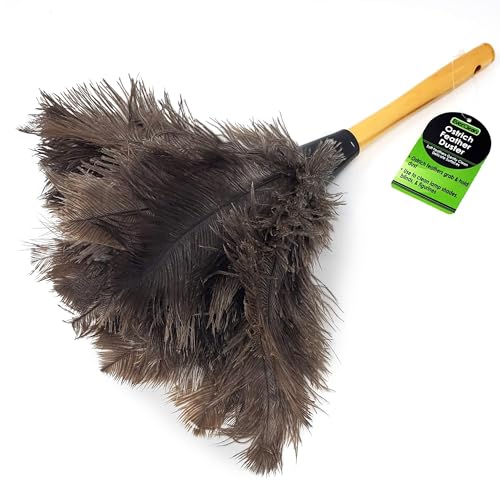 EVERCLEAN Ostrich Feather Duster Classic 14' 100% Natural Ostrich Feathers for Dusting Contoured, Intricate & Delicate Items - Classic Wood ErgoGrip Handle (6049.0)