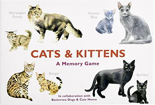 Cats & Kittens: A Memory Game