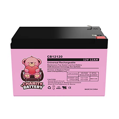 Charity Battery CB12120 12V 12AH Replacement Battery for Kid Trax Avigo Mini Cooper