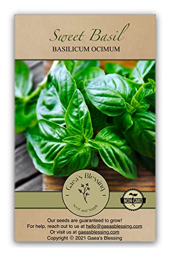 Gaea's Blessing Seeds - Sweet Basil Seeds - Non-GMO Large Leaf Italian Heirloom Genovese Pesto Open-Pollinated High Yield 87% Germination Rate (Single Pack)