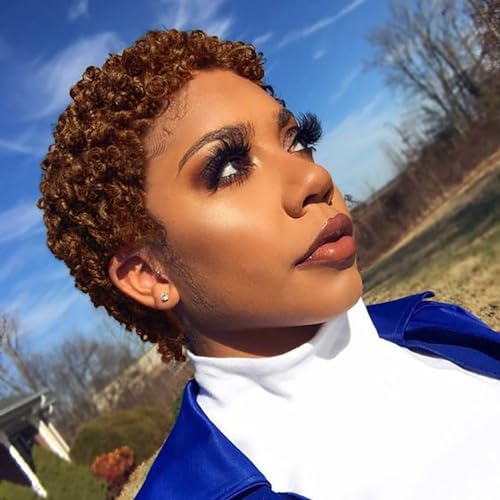 Nicelatus Short Afro Curly Haircuts For Women African American Short Wigs for Black Women Short Brown Curly Hairstyle Short Brown Wig