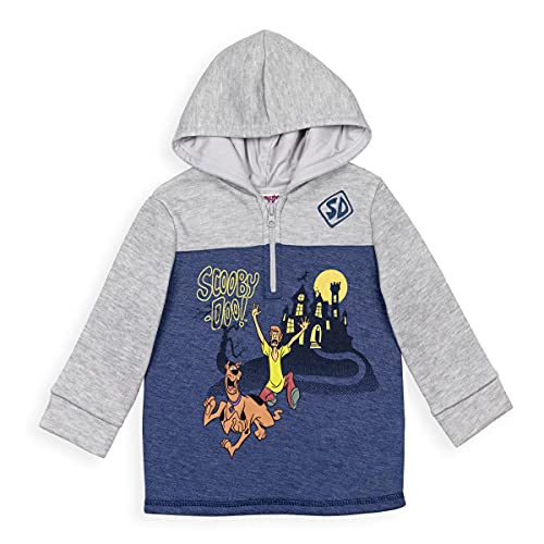 Scooby-Doo Shaggy Little Boys Fleece Half Zip Hoodie Blue/Grey 6