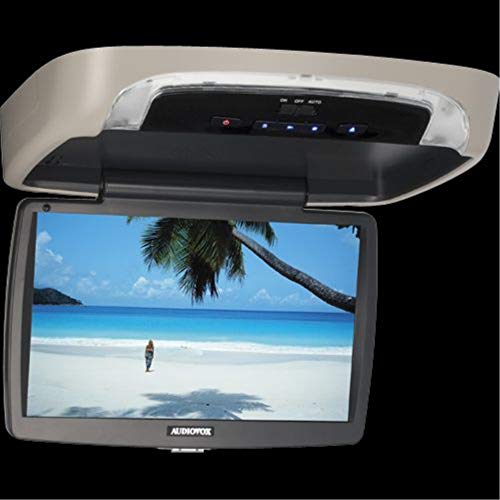 Audiovox VODDLX10 LED Monitor