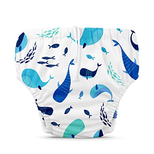 Charlie Banana Reusable Washable Swim Diaper, Adjustable Drawstring for Baby Girls Boys, Soft and Snug Waterproof Fit to Prevent Leaks - The Whale on White, Size L (22-34 lbs)
