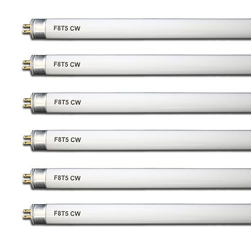 Accway (6 Pack) F8T5/CW 4100K 12’’ Linear Fluorescent Light Bulb, 8W Cool White T5 Tube, G5 Mini Bi Pins Base Replacement for Under Cabinet Light, RV, Closet