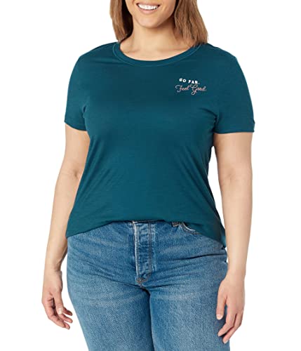 Smartwool Women’s Denver Skyline Merino Wool Short Sleeve Graphic Tee Shirt (Regular Fit) Twilight Blue, Large