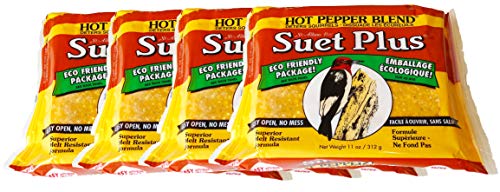 Hot Pepper Suet Value Pack 4 Hot Pepper Suet Cakes for Wild Birds 11 Ounces Each