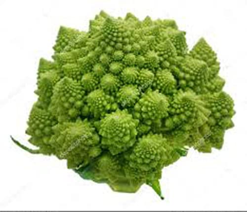 Broccoli Romanesco - Easy to Grow