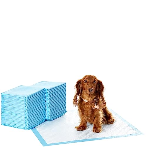 Amazon Basics Dog and Puppy Pee Pads with Leak-Proof Quick-Dry Design for Potty Training, Heavy Duty Absorbency, Regular Size, 24 x 23 Inches, Pack of 50, Blue & White