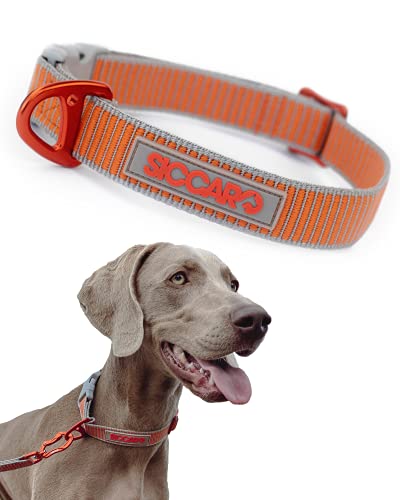 Siccaro Sealines Dog Collar (M) - Lightweight Dog Collar Small Dogs Made of Strong Recycled Nylon - Durable Dog Collar Large Dogs - Dog Collar Wide in 3 Sizes - Stylish Dog Collar
