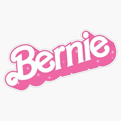 TCT Trading Bernie Baby Vinyl Stickers Waterproof Decal Car, Laptop, Bumper Stickers 5'