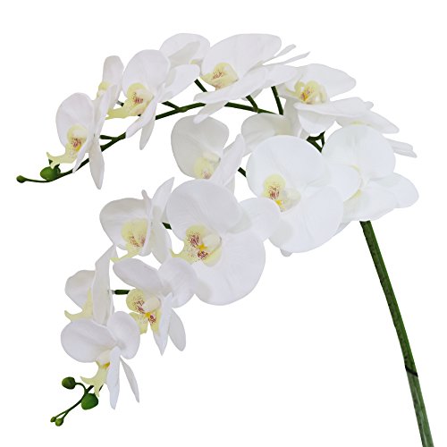 Htmeing 38 Inch Artificial Phalaenopsis Flowers Branches Real Touch (Not Silk) Orchids Flowers for Home Office Wedding Decoration,Pack of 2 (White)
