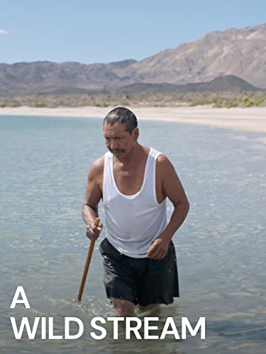 A Wild Stream