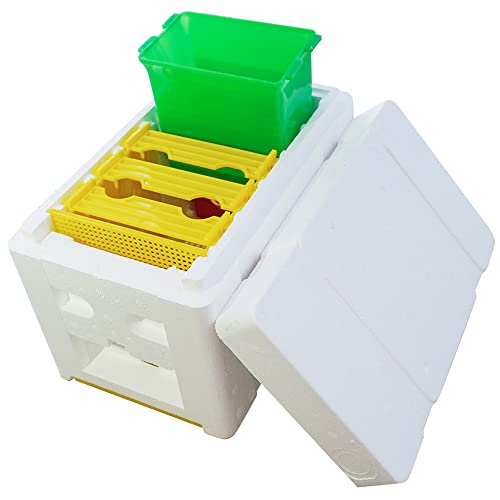 ZffXH Mini Mating Nuc Box Beekeeping Queen Breeding Box bee apidea mating hive Equipment Foam Queen Rearing Hive Box for Beekeeper