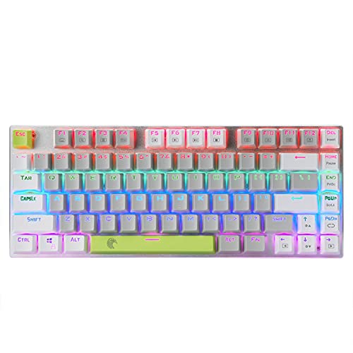 HUO JI 60% Mechanical Gaming Keyboard, E-Yooso Z-88 with Blue Switches, Rainbow LED Backlit, Compact 81 Keys for Mac, PC, Grey White Green