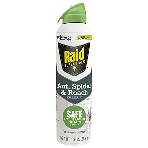 Raid Essentials Ant Spider, and Roach Killer Aerosol Spray, Child and Pet Safe, Kills Insects Quickly, for Indoor Use, 10 oz