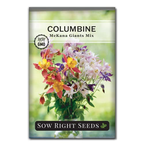 Sow Right Seeds - Columbine McKana Giants Flower Seeds - Non-GMO Heirloom Packet with Instructions - Multicolor Perennial Mix - Beautiful Bloom to Attract Hummingbirds, Bees and Butterflies (1)