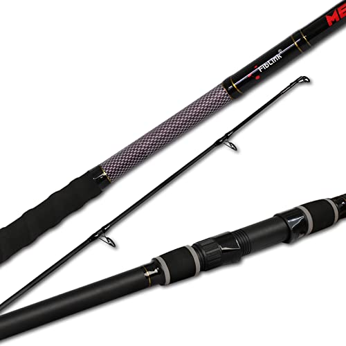 Fiblink Surf Fishing Rod 2 Piece Portable Travel Spinning Rod Saltwater Surf Rod 9'