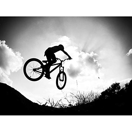 Doppelganger33 LTD Sport BMX Bike Jump Bicycle Silhouette Large Art Print Poster Wall Decor 18x24 inch
