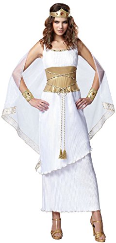 HGM Costume Women's Indian Princess, Brown/Turquoise, Medium