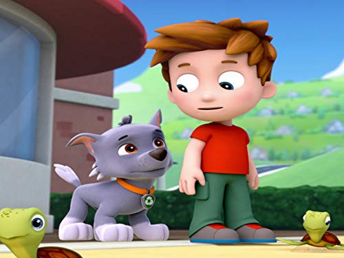 Pups Save the Sea Turtles/Pup and the Very Big Baby