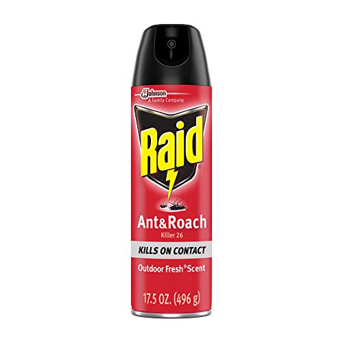 Raid Ant and Roach Killer Spray For Listed Bugs, Keeps Killing for Weeks, Fresh Scent, 17.5 oz