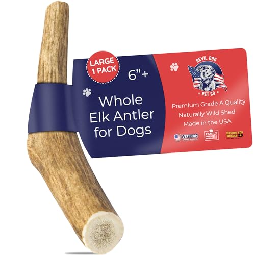 Devil Dog Pet Co Antler Dog Chew - Premium Elk Antlers for Dogs - Long Lasting Dog Bones for Aggressive Chewers - No Mess No Odor - Wild Shed in The USA - Veteran Owned (Large)