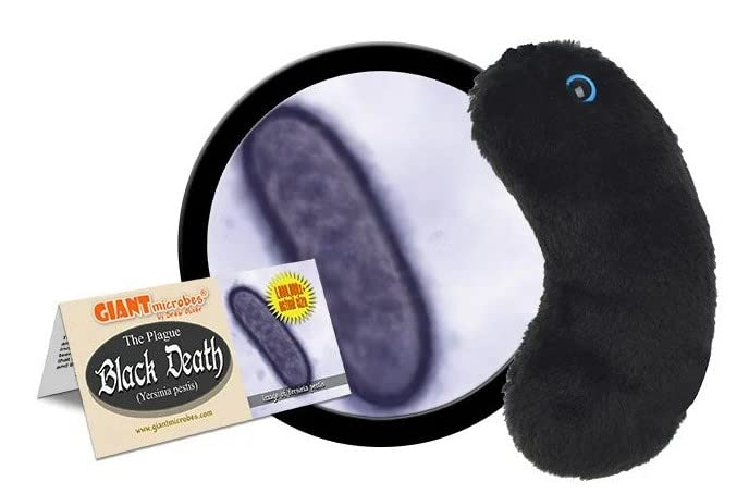 GIANTmicrobes Black Death Plush – Learn about Plagues from the Past with this Unique Gift for Scientists, Students, Healthcare workers, History Buffs and Anyone with a Healthy Sense of Humor