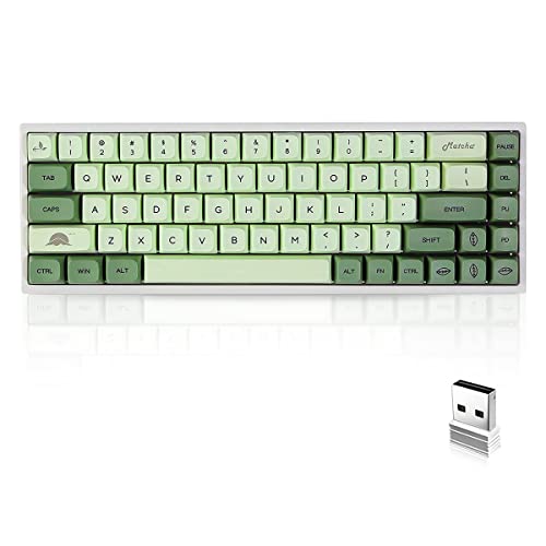BOYI WK68 Hot Swappable RGB Mechanical Keyboard,Wireless Bluetooth 5.0/2.4G/Wired Type-C Tri-Mode PBT Sublimation Keycaps 65% Gaming Keyboard(Gateron Brown Switch, Matcha XDA Keycaps)
