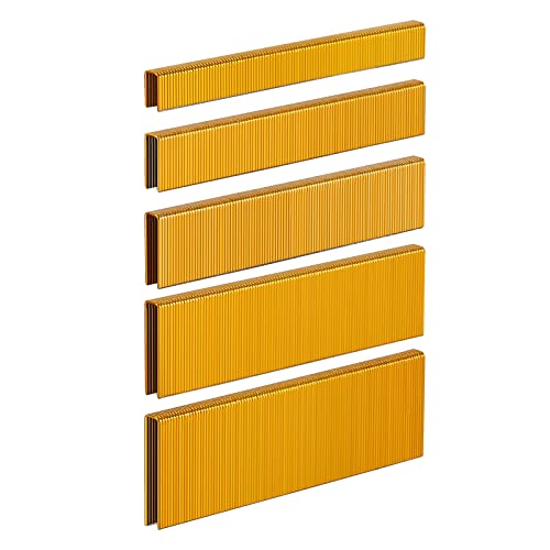 SimCos 18 Gauge 1/4' Narrow Crown Staples (1-1/2',1-1/4' 1', 3/4', 1/2'), Galvanized Assorted 2000 Counts for Pneumatic or Electric norrow Crown Stapler,Project Pack