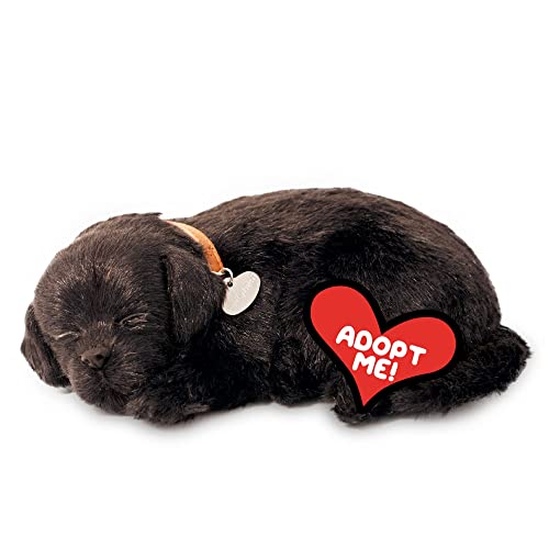 Perfect Petzzz - Original Petzzz Black Lab, Realistic, Lifelike Stuffed Interactive Pet Toy, Companion Pet Dog with 100% Handcrafted Synthetic Fur
