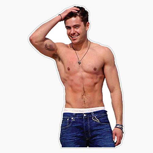 Zac Efron Vinyl Waterproof Sticker Decal Car Laptop Wall Window Bumper Sticker 5'