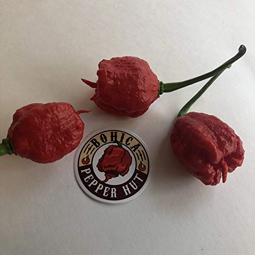 Dragon's Breath - Seeds